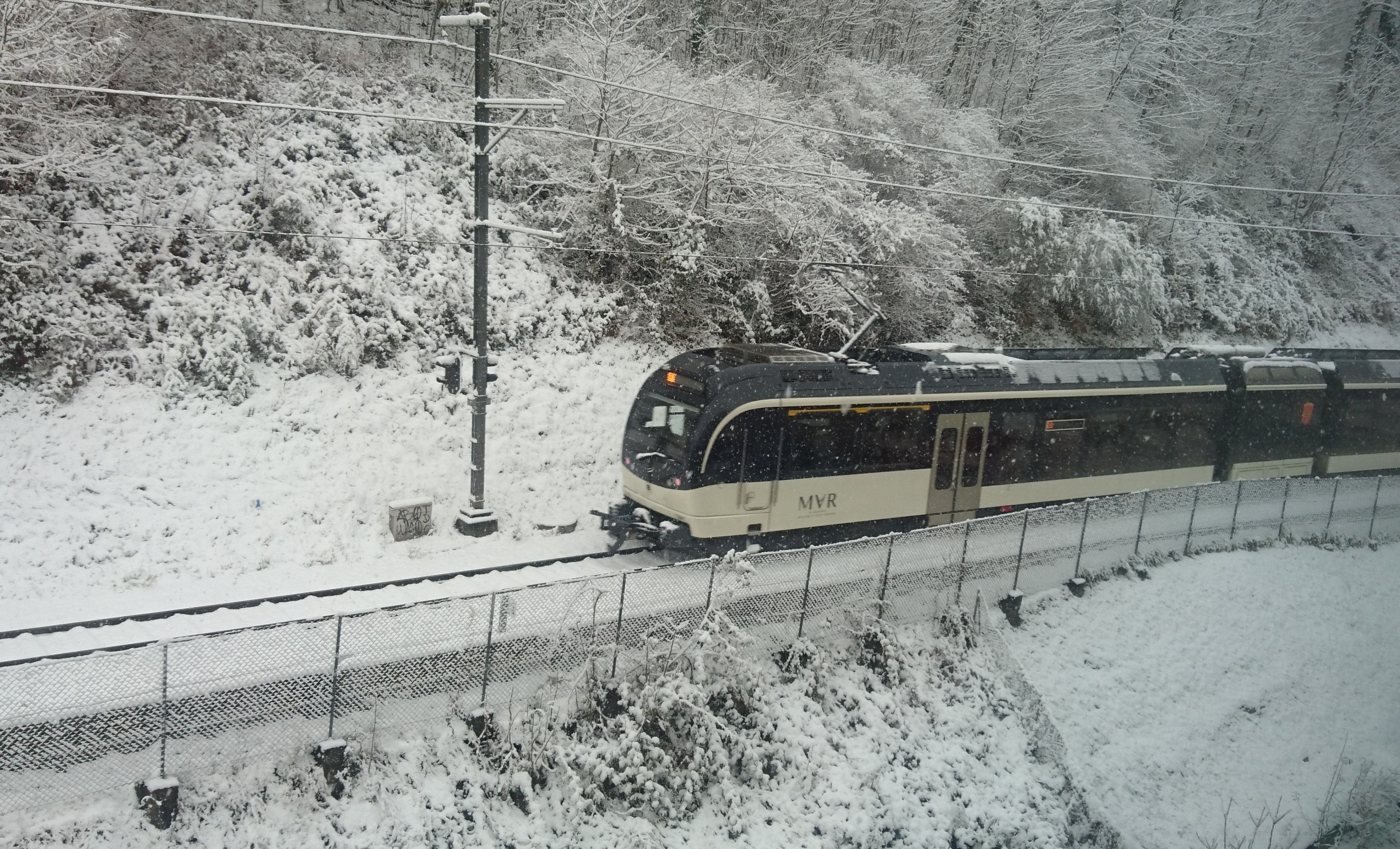 Sur la ligne Vevey-Blonay, les défenseurs de la gare de Clies poursuivent leur combat